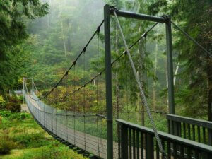 The suspension bridge over Amanda Creek looking south