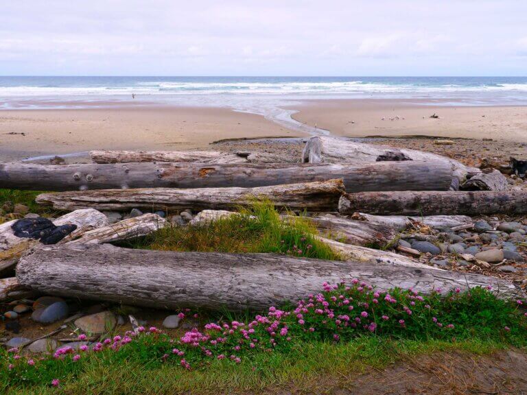 Ocean scenic at Beverly Beach with drift logs in the foreground