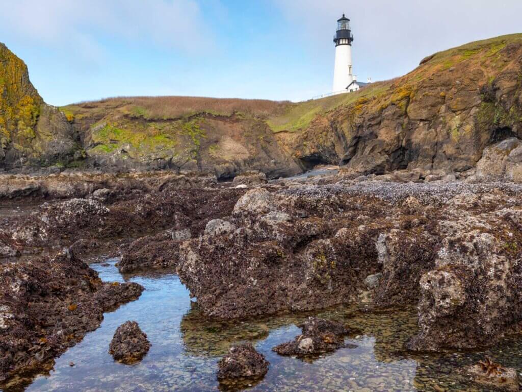 Tidepools at Yaquina Head with lighthouse in the background